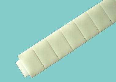 PC50 plastic roller chains thermoplastic transmission conveyor chains white color materials POM