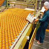belting conveyors modular belts conveyor flat top belts conveyor systems