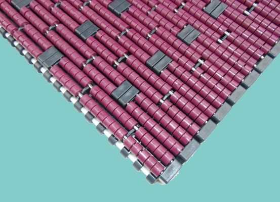 MARBELT 1005LBP LOW BACK PRESSURE CHAINS WITH DOUBLE POSITRACKS MATERIALS POM PURPLE FOR ACCUMULATE TABLE